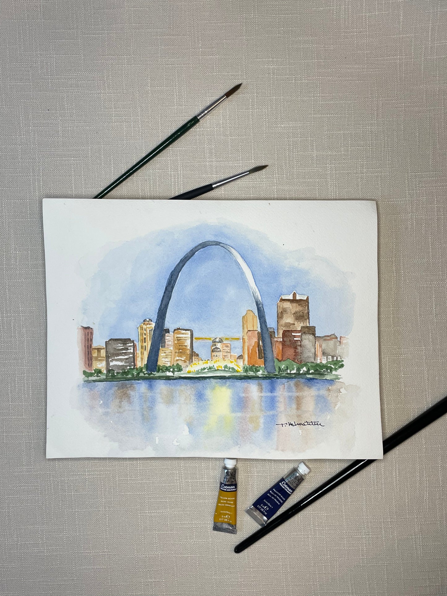 Saint Louis Arch Skyline 1